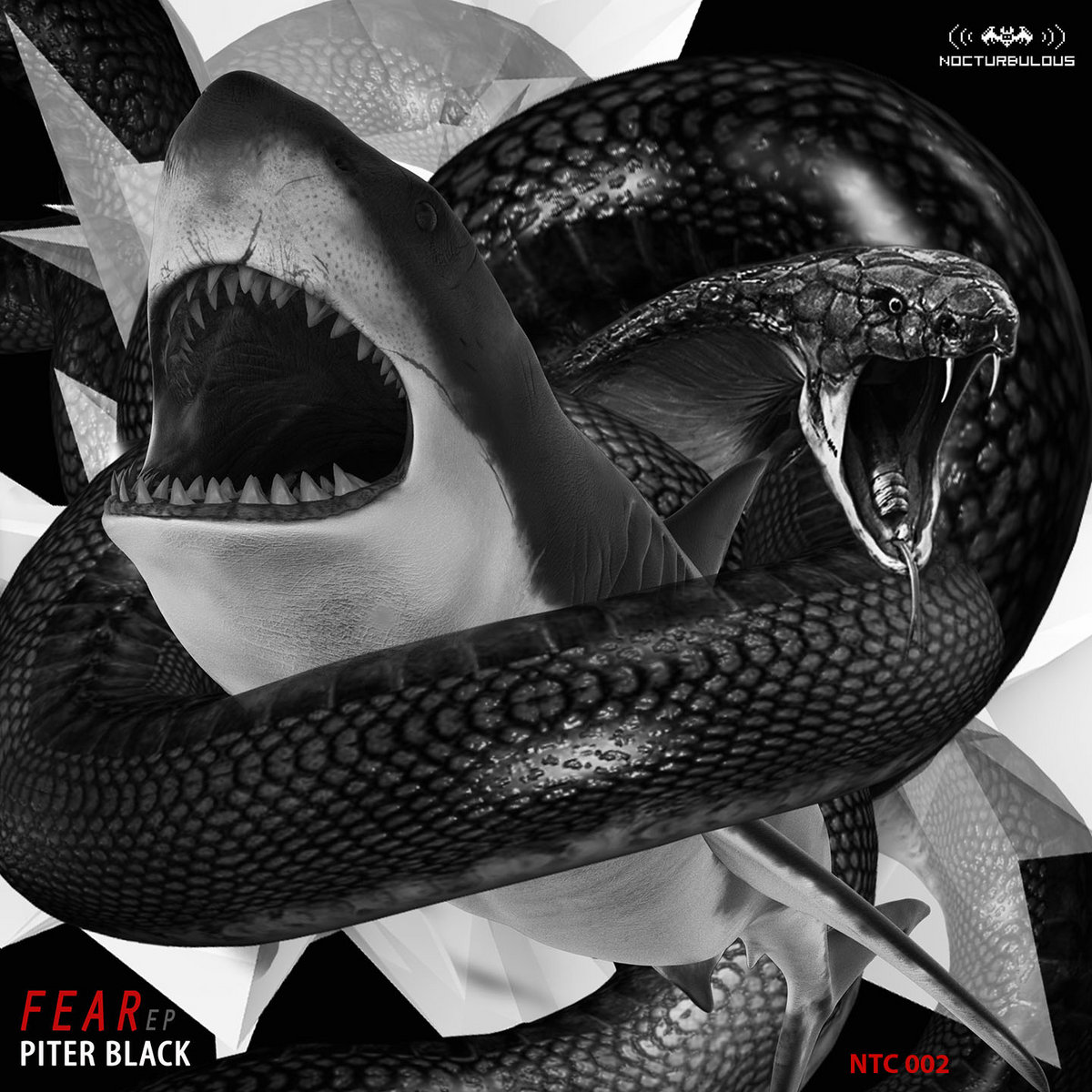 Piter Black - Fear EP [NTC 002]