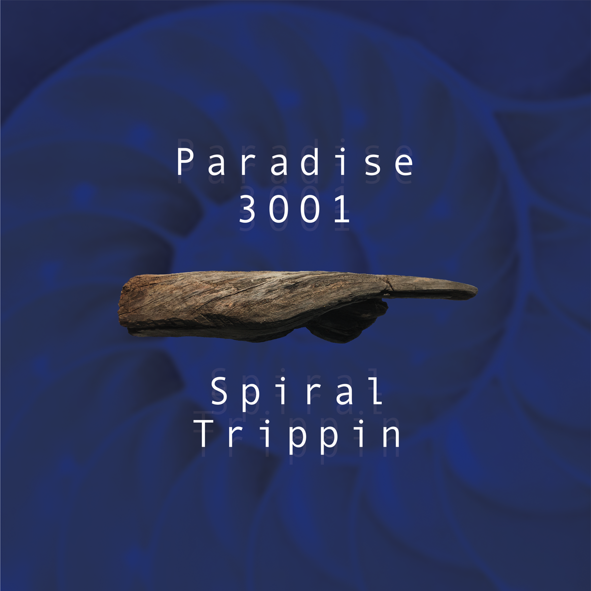 Paradise 3001 - Spiral Trippin